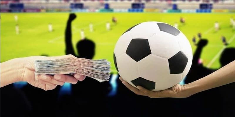 Chiến lược đặt cược hiệu quả thắng bất bại