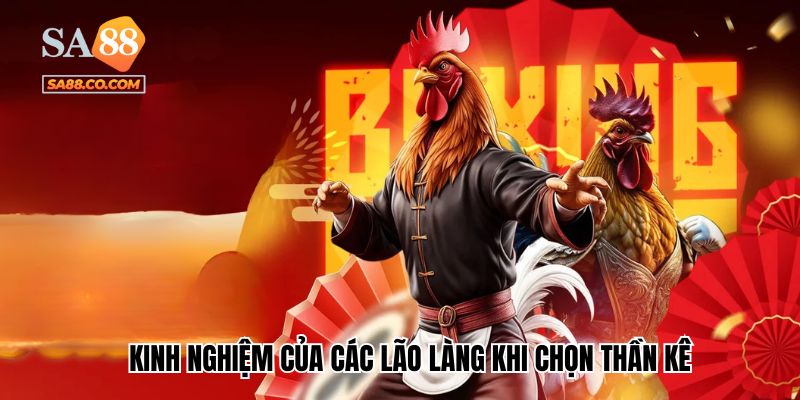 Kinh nghiệm của các lão làng khi chọn thần kê