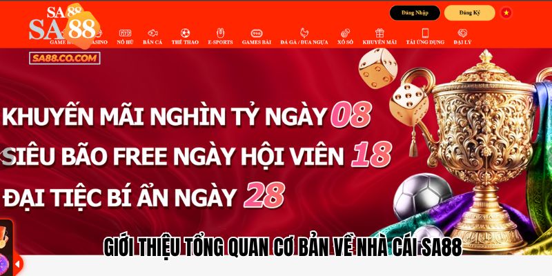 Giới thiệu tổng quan cơ bản về nhà cái Sa88